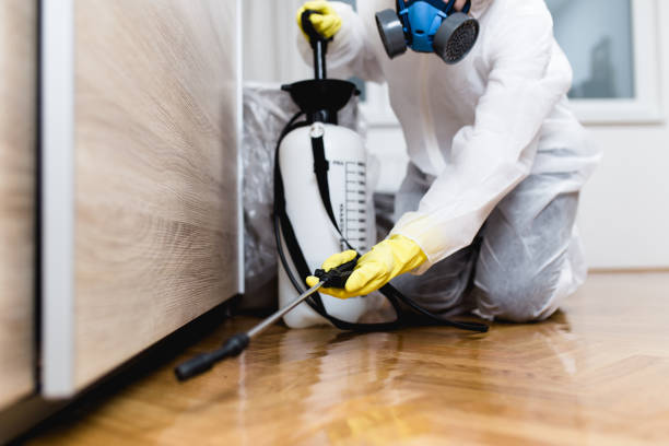 Best Flea Control Services  in Morgans Point Resort, TX