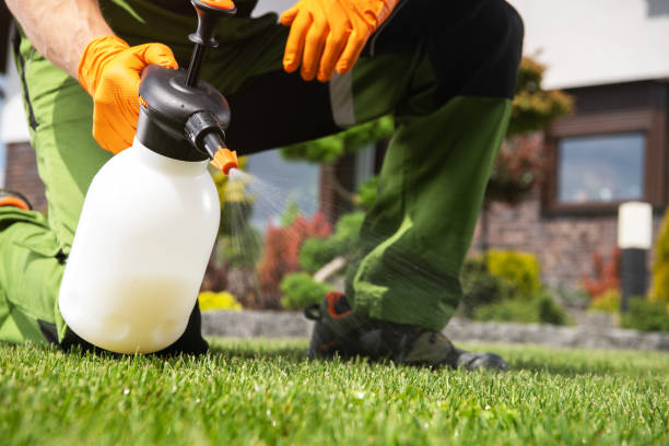 Best Ant Control Services  in Morgans Point Resort, TX