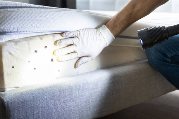 Best Best Pest Control Companies  in Morgans Point Resort, TX
