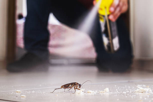 Best Pest Prevention Services  in Morgans Point Resort, TX