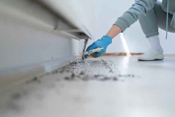 Trusted Morgans Point Resort, TX Pest Control Experts